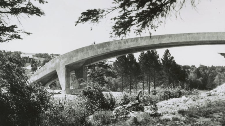 Cantilever Bridge Bowring Park