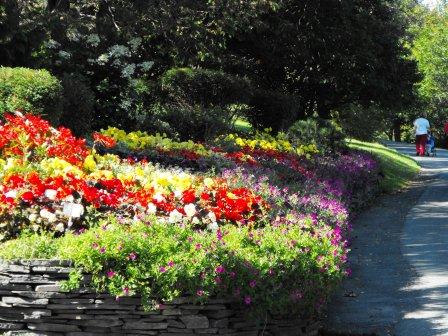 Flowers in Bowring Park