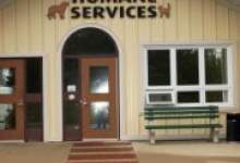Animal Care and Adoption