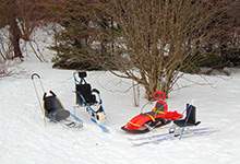 adaptive equipment in winter scene