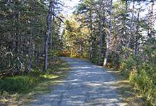 Park Trail