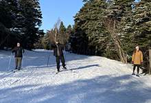 Skiing in Pippy Park Skiing in Pippy Park