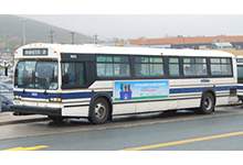 image shows a metrobus on the street