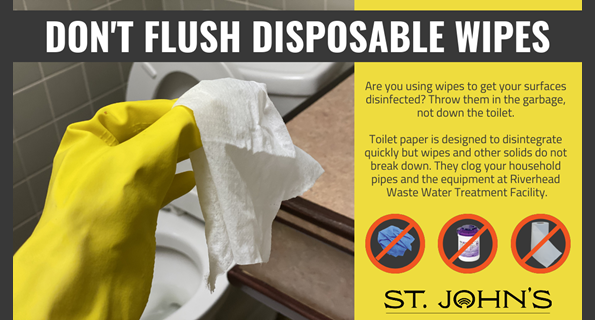 Don't Flush Disposable Wipes